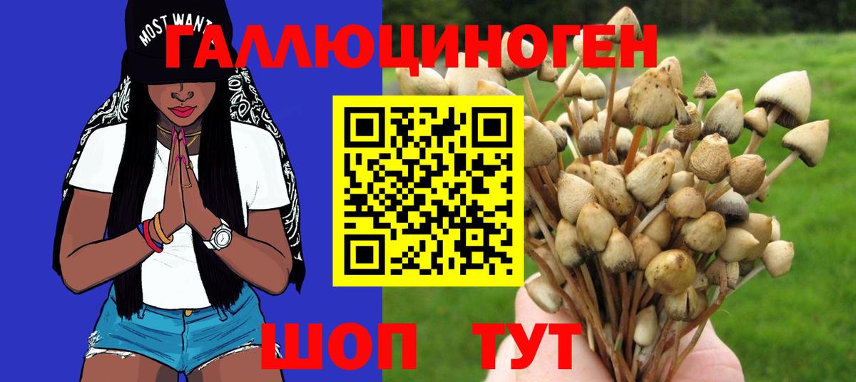 Псилоцибиновые грибы Cubensis  Псилоцибиновые грибы прущие грибы  Вход с VPN  Пугачёв 